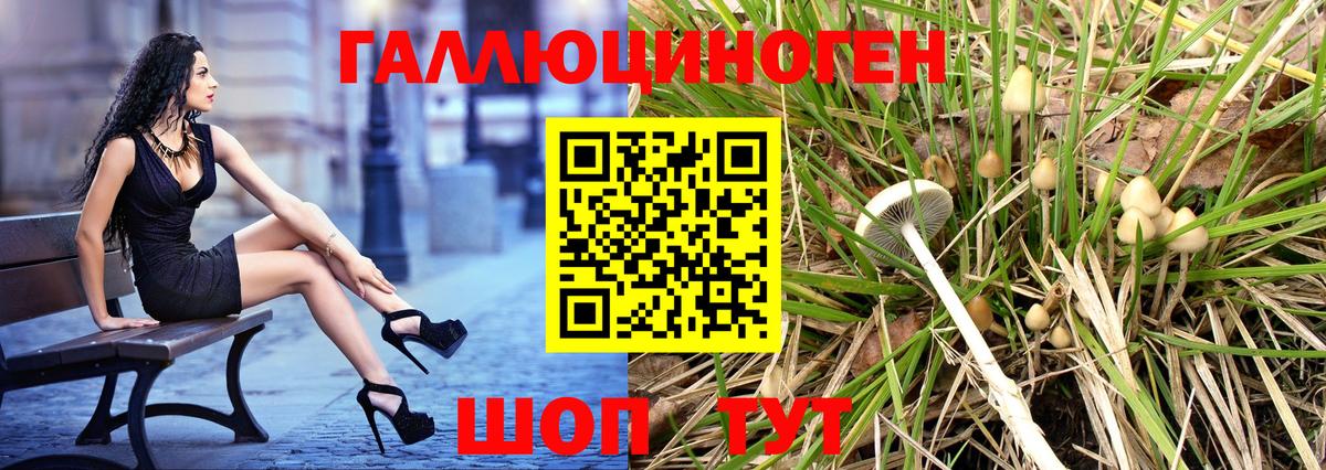 Среднеуральск  Галлюциногенные грибы Cubensis  дарнет шоп  Вход с VPN 